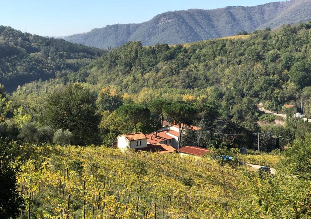 Rufina Apartment | Il Poggiolo ai Casini