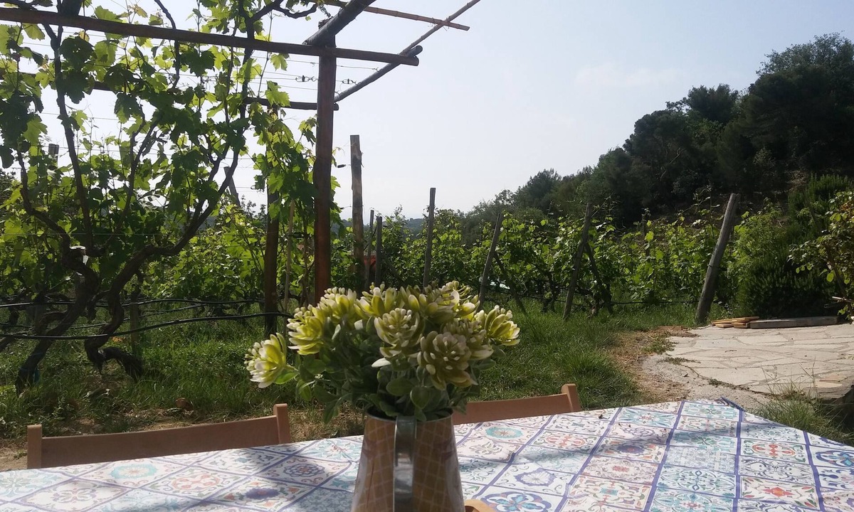 Imperia House | Imperia, two-bedroom apartment, nature, and reax