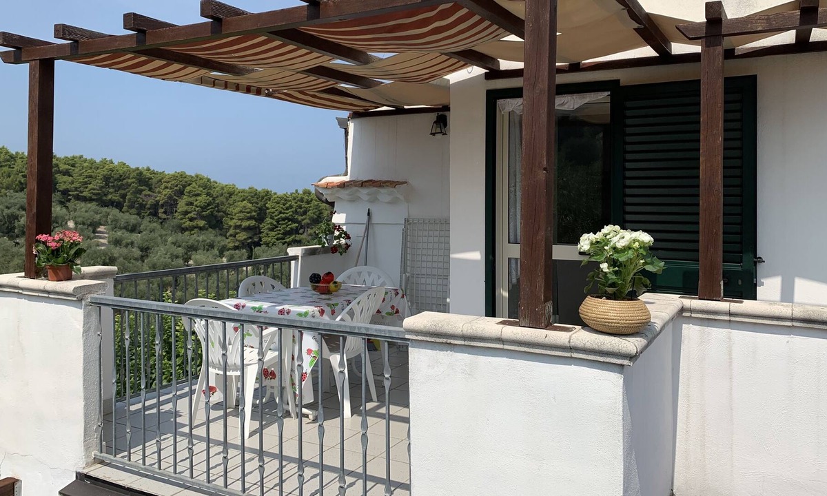 Vico del Gargano Apartment | Mulberry Tree House GELSO