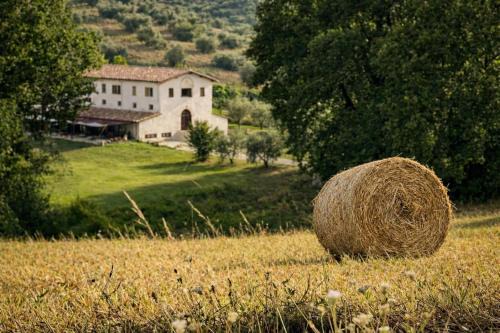 Montelibretti Bed & Breakfast | L’Antica Tenuta