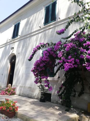 Macerata Bed & Breakfast | La Bouganville