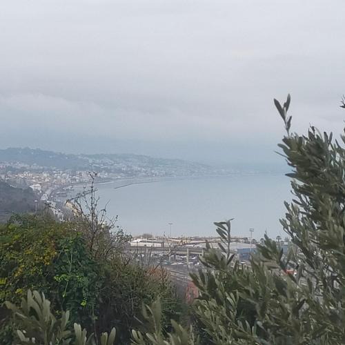 Ancona Apartment | La casa di Carlo