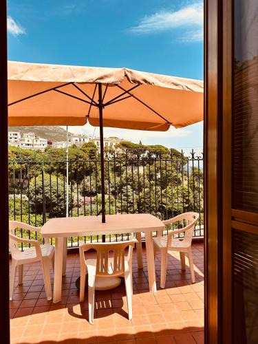 Raito House | La Casa Gialla