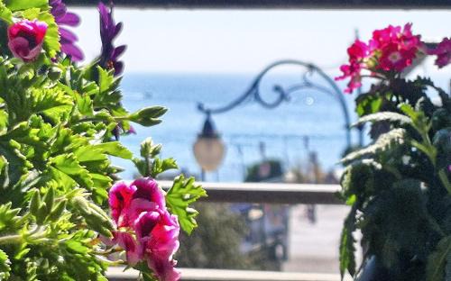 Salerno Bed & Breakfast | La Collina dei Ciliegi