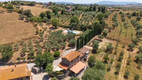 Montiano Villa | La Fontaccia 10 by VacaVilla