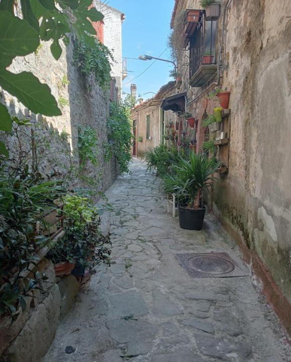 Lustra House | La locanda dei baroni