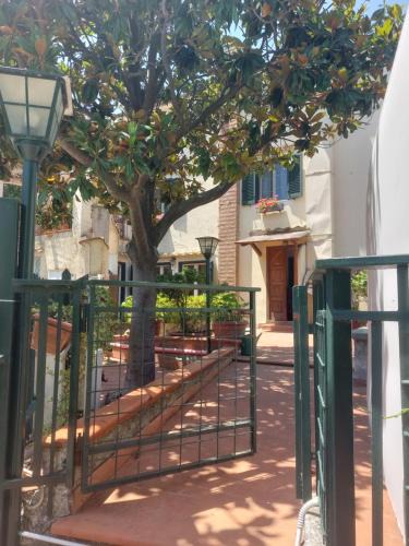 Dragonea Apartment | La Magnolia Locazione breve