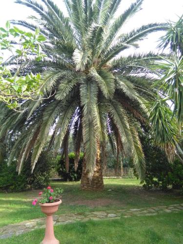 Magliano in Toscana House | La Palma