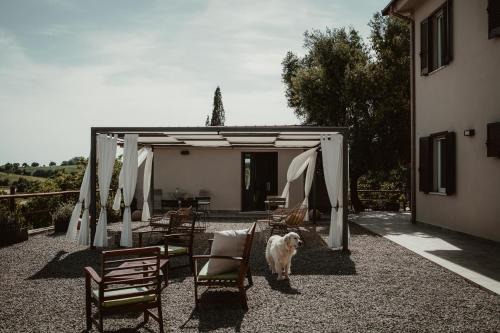 Manciano House | La Pianaccia