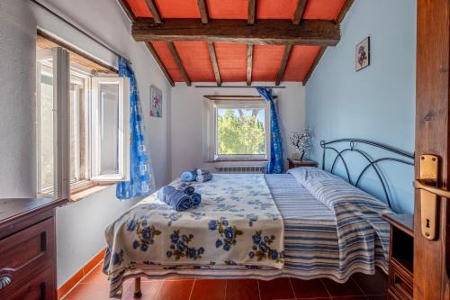 Magliano in Toscana House | La pieve - Gerani