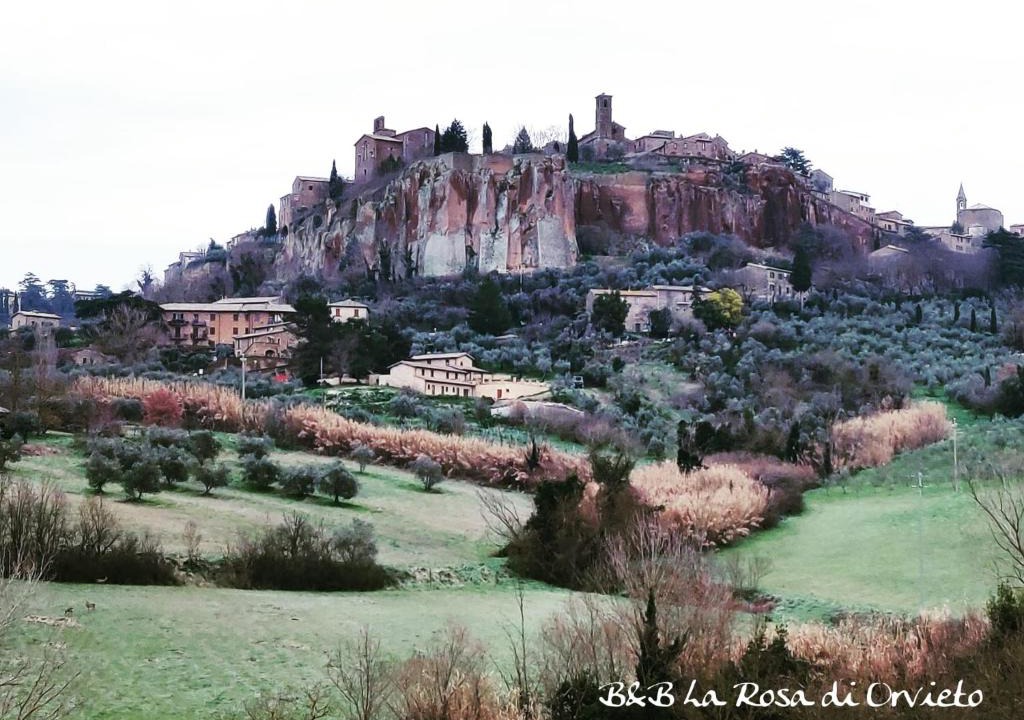 Sferracavallo Bed & Breakfast | La Rosa di Orvieto