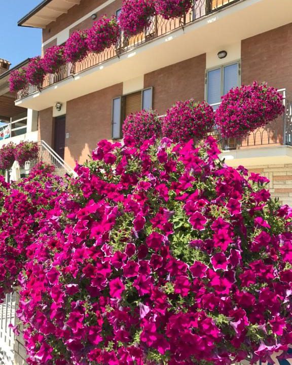 Gubbio Apartment | La Signora Dei Fiori