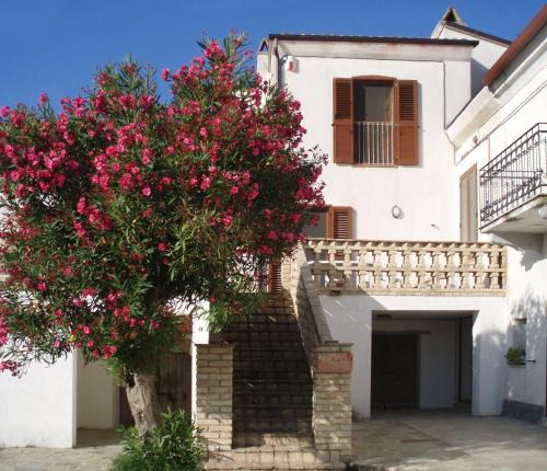 Ortona Apartment | La Stalla