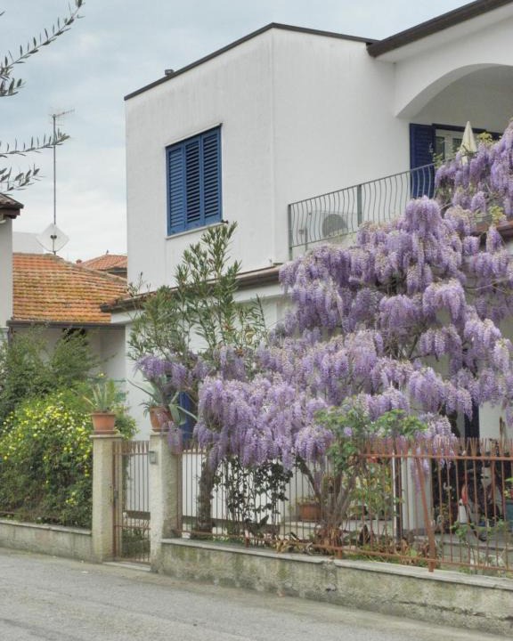 Giulianova House | La Suite Di Rita