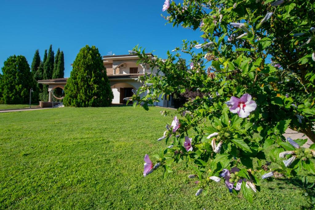 Corfinio Apartment | La Villa dei Tartufi - B&B