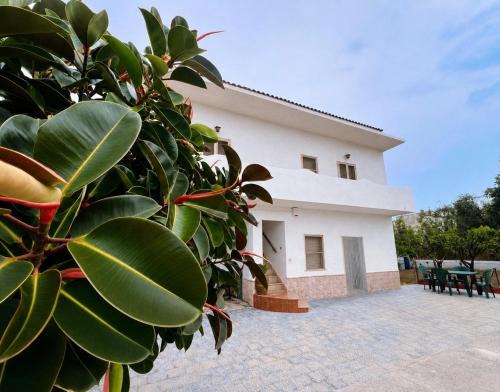 Foce Varano House | lagoAmare