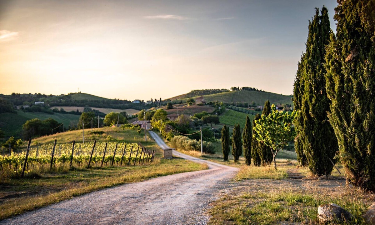 Montalto delle Marche House | LAST MINUTE! 180° view on vineyards and Sibillini National Park