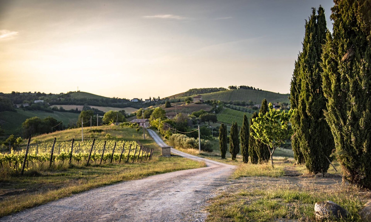 Montalto delle Marche House | LAST MINUTE! 180° view on vineyards and Sibillini National Park