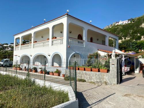 Forio Apartment | Le Residenze di Dolores - On Citara Beach