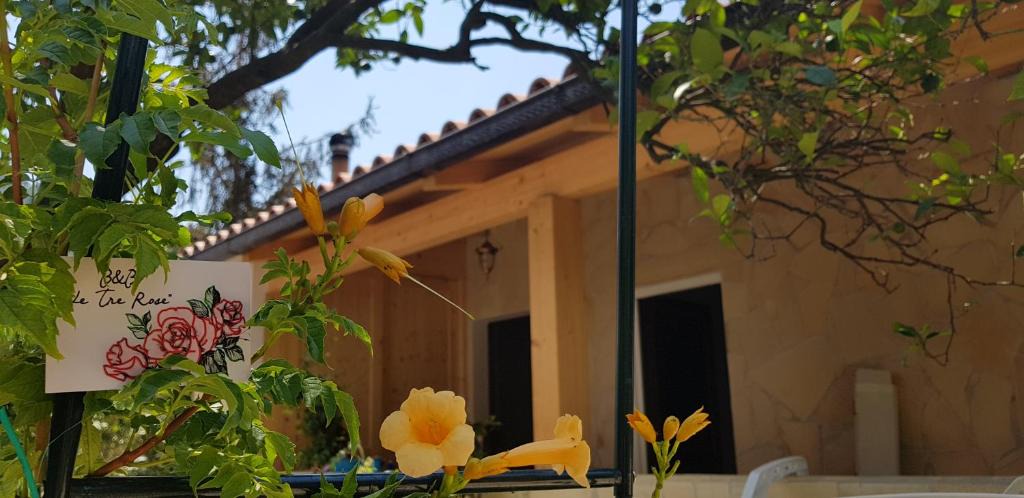 Maratea Bed & Breakfast | Le Tre Rose