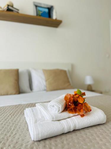 Terracina Apartment | Levante Sea House