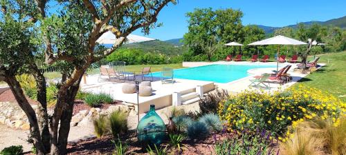 Alviano Apartment | Lyfe Umbria Country House