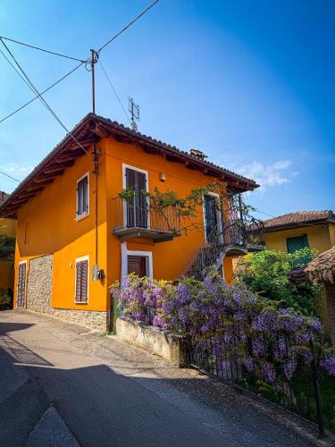 Neive House | Maison Orange - Dimora nelle Langhe