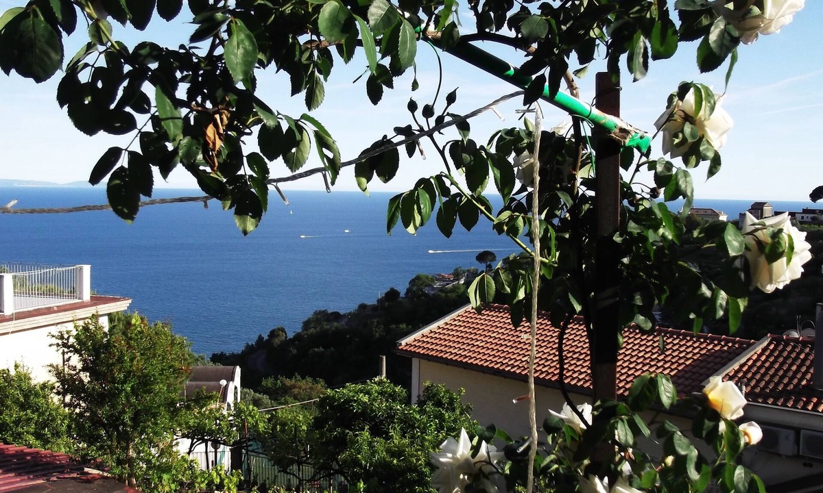 Vietri sul Mare House | mimosas at the beginning of the Amalfi coast
