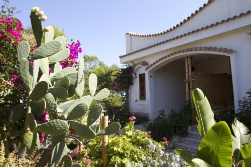Scialara Hotel | Oasi Beach Hotel