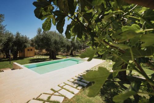 Chiesiola Apartment | Pilone del Monaco - Pool & Free Parking