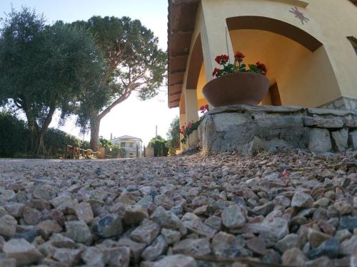 Montalto di Castro Bed & Breakfast | Podere 406