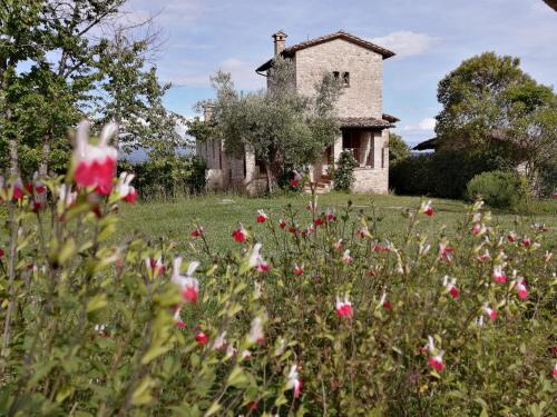 Montelaguardia Apartment | Podere Collicello, una finestra sull'Umbria!