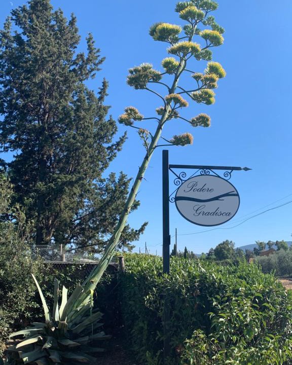 Grosseto House | Podere Gradisca