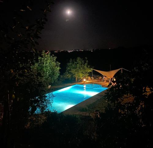 Corbara Apartment | Podere Macee Casavacanza
