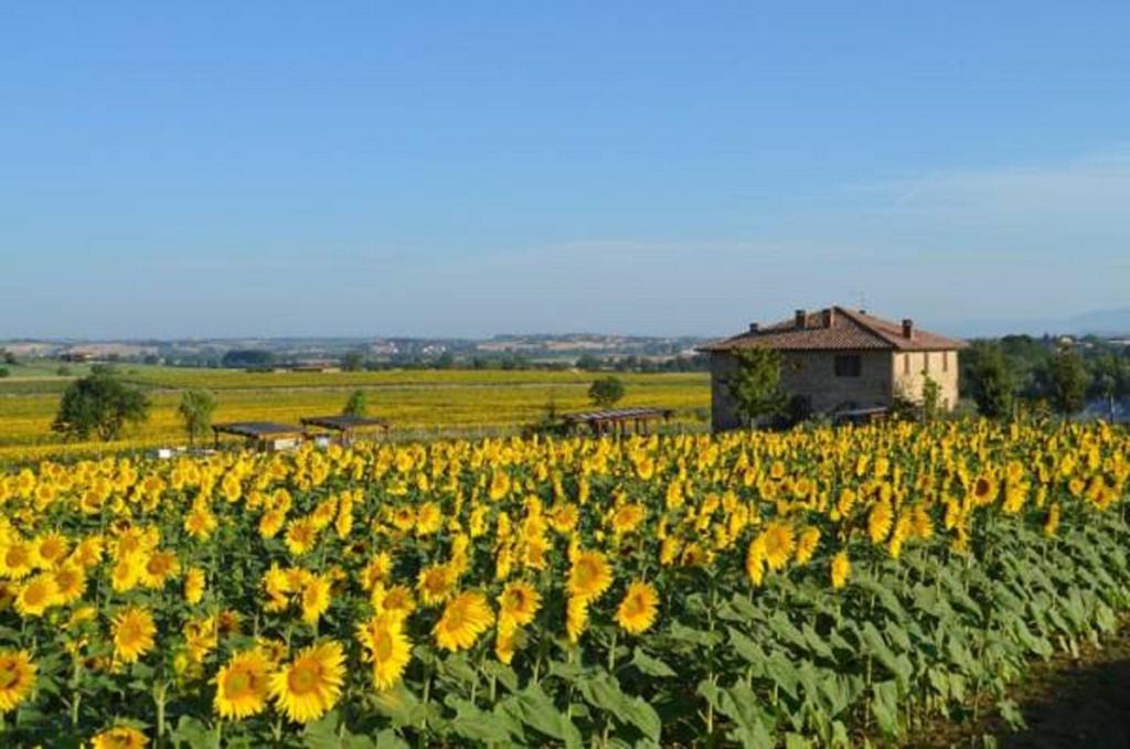Panicale Villa | Podere Molinaccio