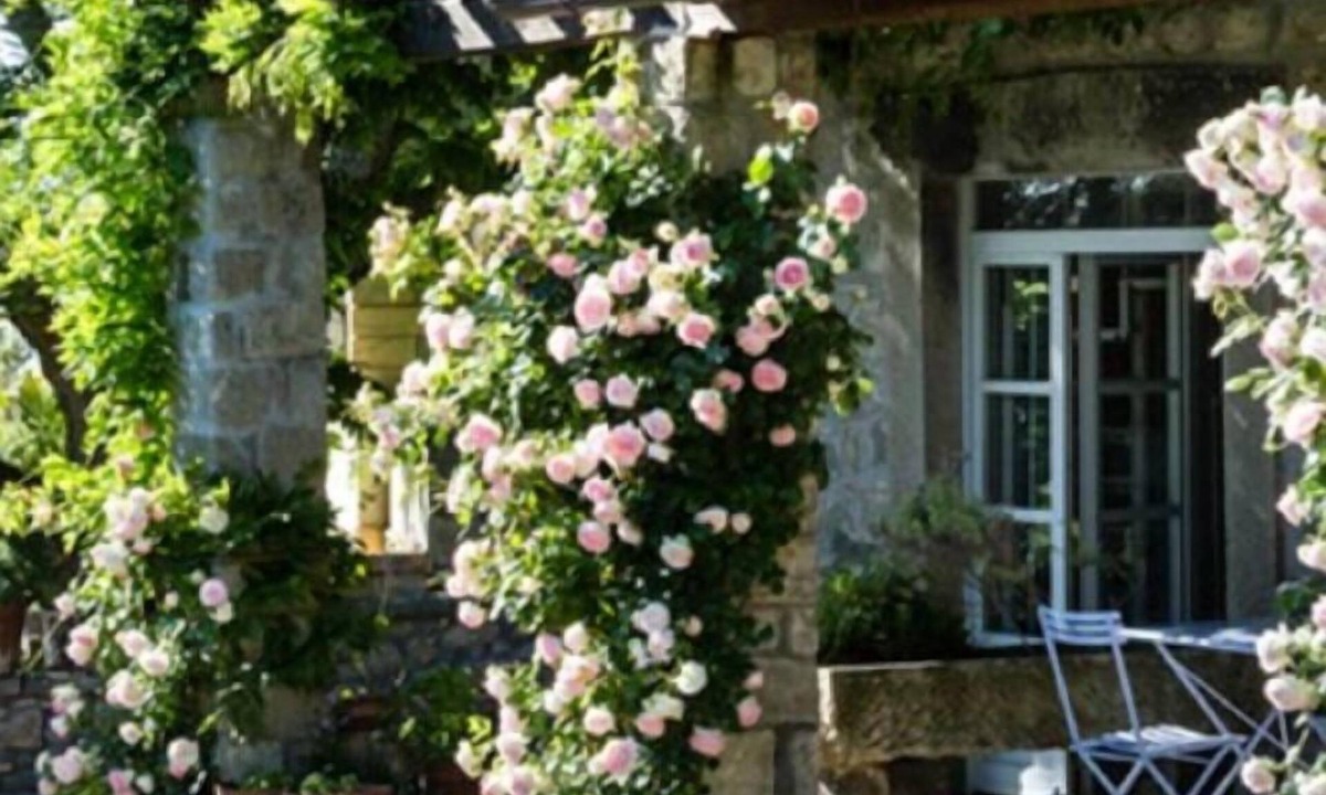 Viterbo House | Relais de Charme Villa Rossi Danielli