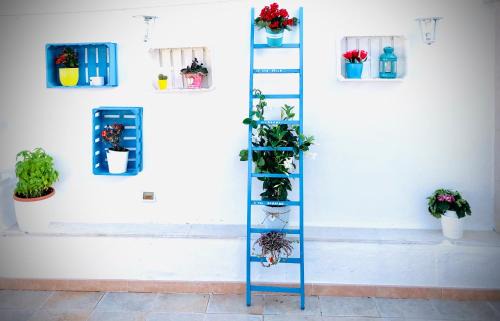 Torre a Mare House | Relax House