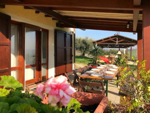 Bettolelle Apartment | Relaxing Countryhouse Getaway with a Dreamlike Pool