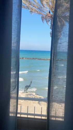 Grottammare Apartment | Residenza colombo