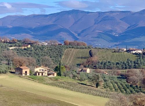 Montefalco Bed & Breakfast | Residenza Marrone