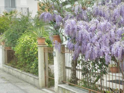Giulianova Apartment | RITA'S ROOM ON THE SEA