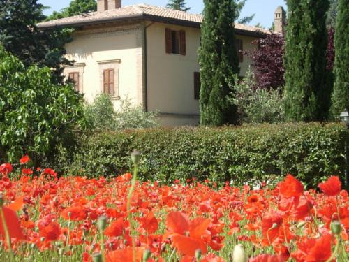 Rivotorto House | Rugiada Rooms