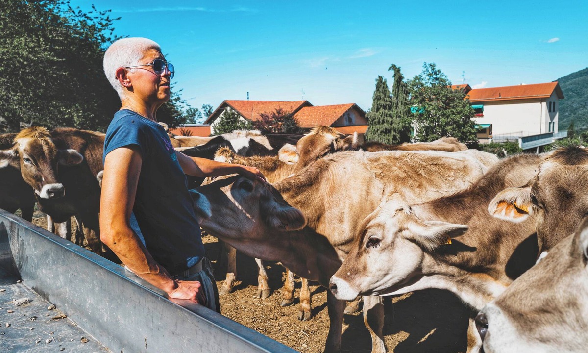 Rossiglione Other | Rural Lodging - Farmstay for 10 guests with 3 bedrooms and 3 bathrooms – Il Lavagè