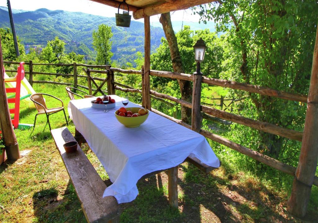 Ortignano Raggiolo House | Rustic Holiday Home in Ortignano with Swimming Pool