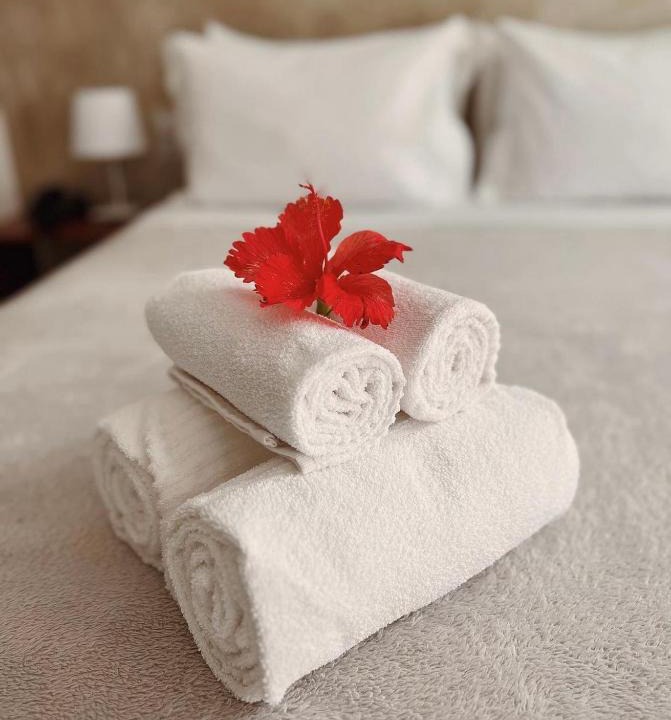 Capua Apartment | SambaSS Boutique Apartment