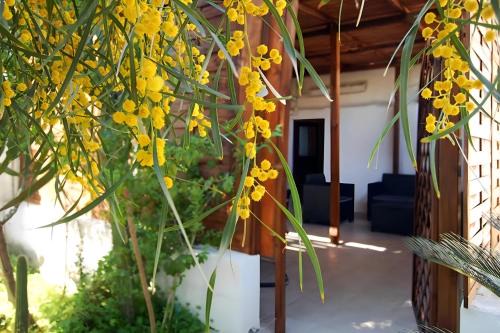 Palese Apartment | Sea Breeze Villa - Sole apartment