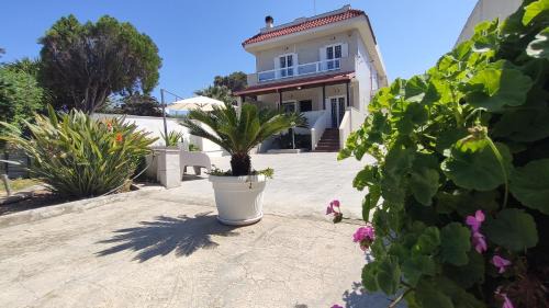 Municipio 5 Apartment | Seagull Apartments Bari Sea & Airport