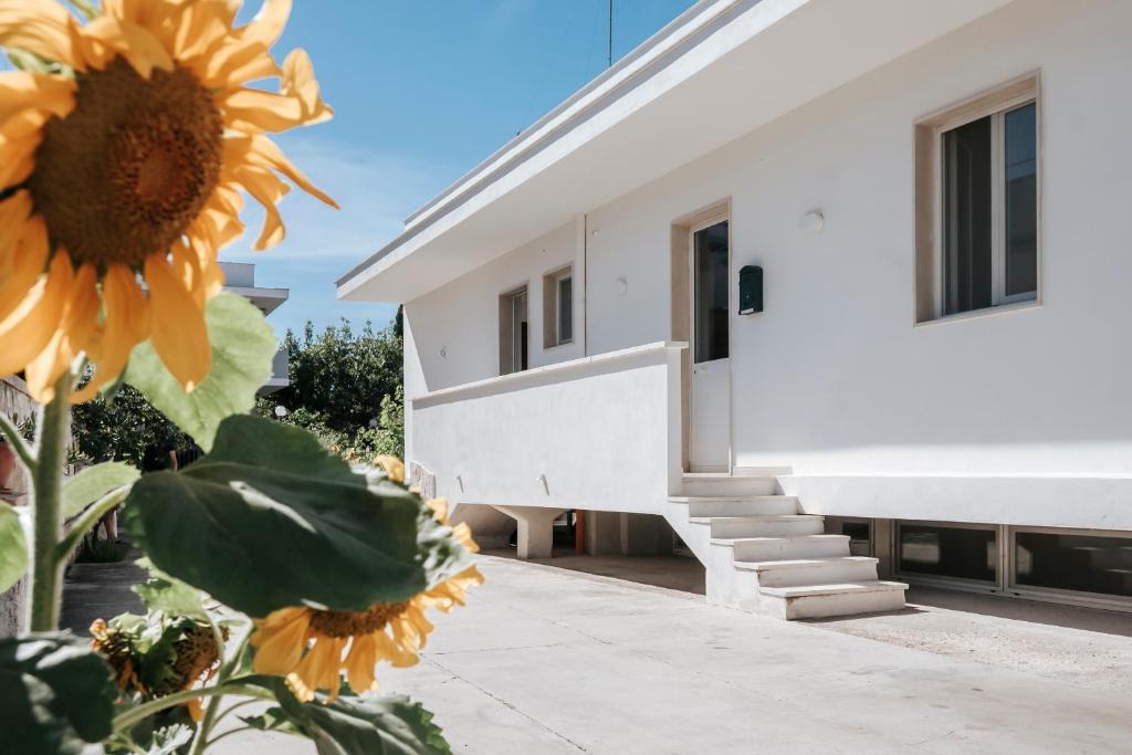 Palese Apartment | See you Bari