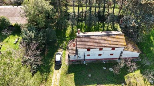 Bettolelle Apartment | Senigallia, casale immerso nel verde delle colline - SE143