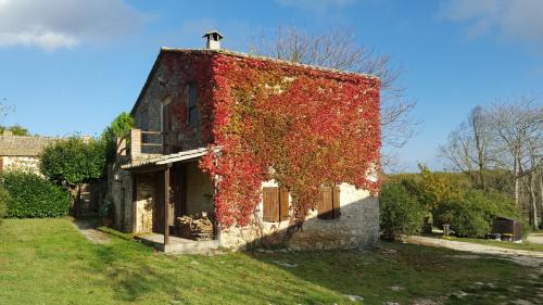 Amelia Apartment | Silence and relaxation in countryside of Umbria